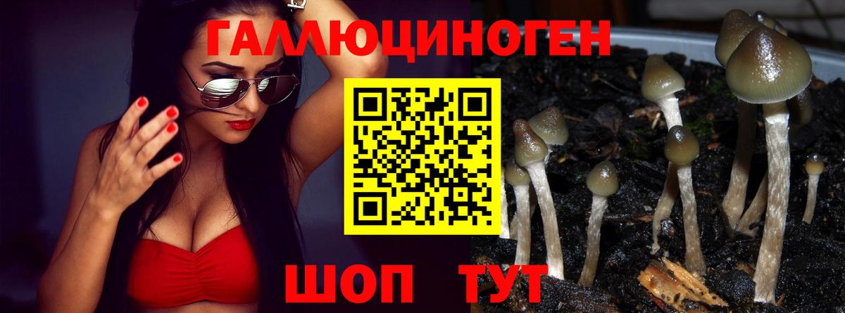 Галлюциногенные грибы Magic Shrooms  Вход с VPN  Волжский  Галлюциногенные грибы Magic Shrooms 