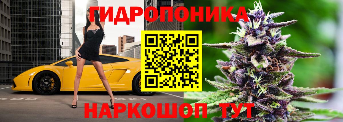 Конопля ГИДРОПОН  Каннабис семена  Волжский  Вход с VPN  Каннабис сатива  Марихуана Amnesia 